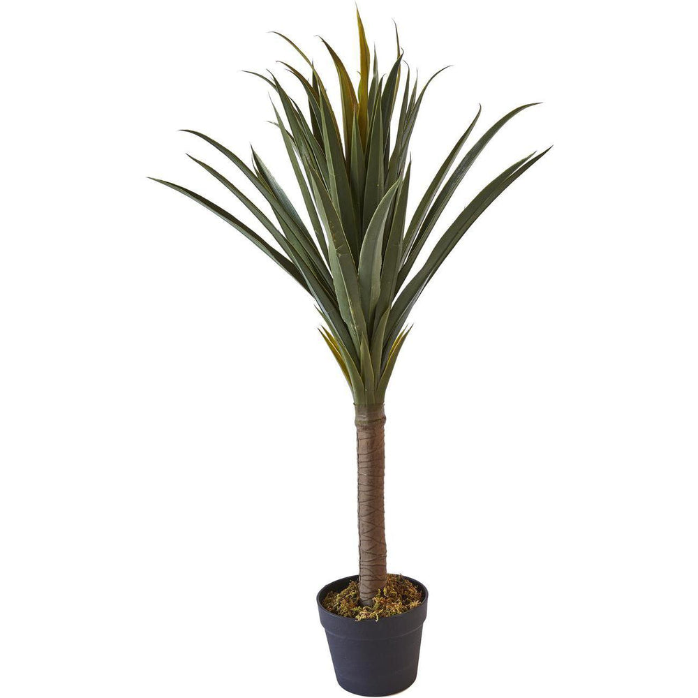 Deco plante 57609 - Olla Vert - Lot de 1