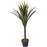 Deco plante 57609 - Olla Vert - Lot de 1