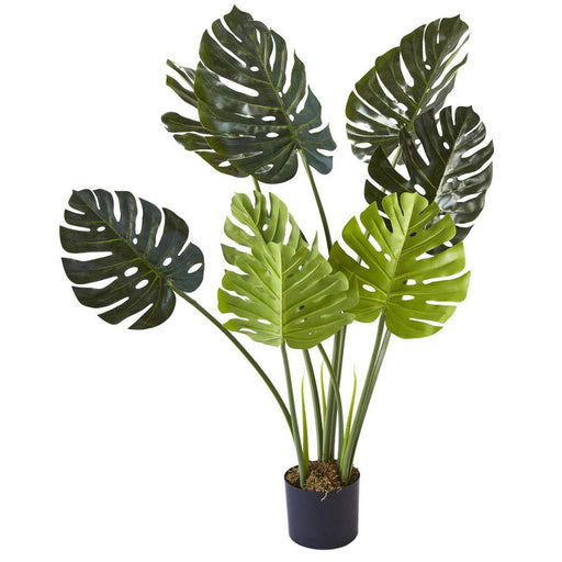 Deco plante 57603 - Olla Vert - Lot de 1