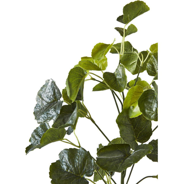 Deco plante 57605 - Olla Vert - Lot de 1
