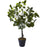 Deco plante 57606 - Olla Vert - Lot de 1