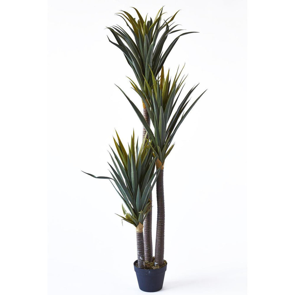 Deco plante 57610 - Olla Vert - Lot de 1