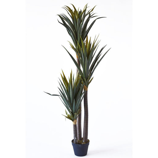 Deco plante 57610 - Olla Vert - Lot de 1