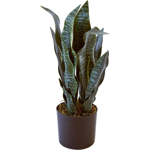 Deco plante 57601 - Olla Vert - Lot de 1