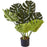 Deco plante 57602 - Olla Vert - Lot de 1