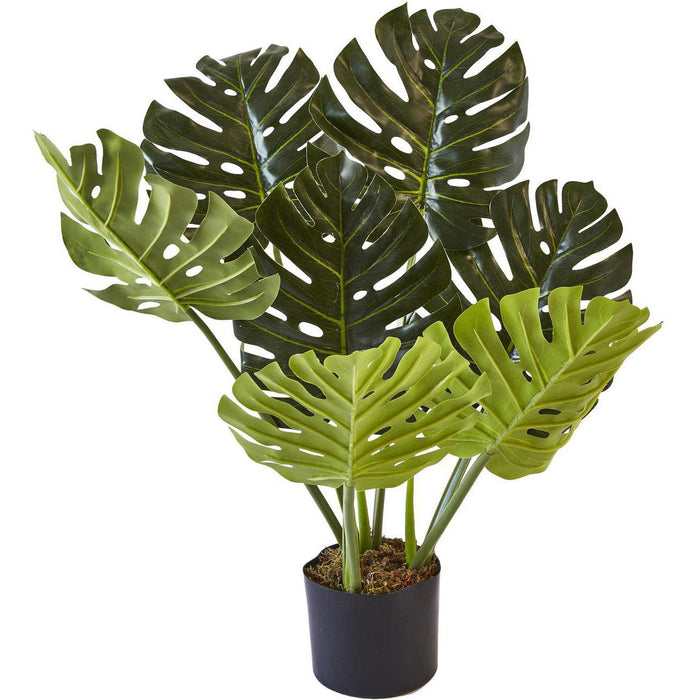 Deco plante 57602 - Olla Vert - Lot de 1