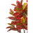 Deco plante 57600 - Olla Vert - Lot de 1