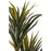 Deco plante 57610 - Olla Vert - Lot de 1