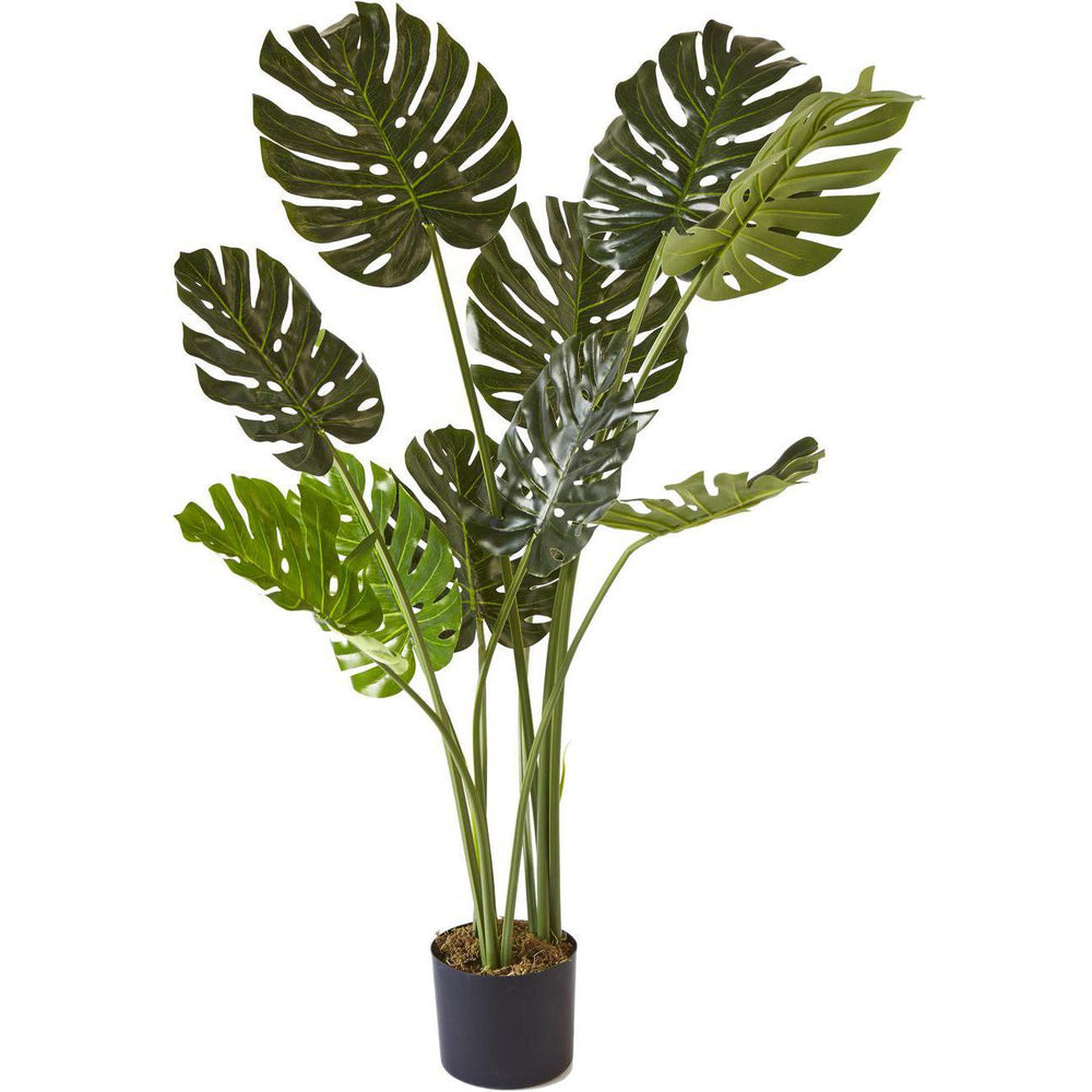 Deco plante 57604 - Olla Vert - Lot de 1