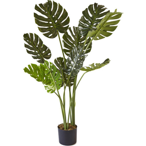 Deco plante 57604 - Olla Vert - Lot de 1