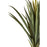Deco plante 57609 - Olla Vert - Lot de 1
