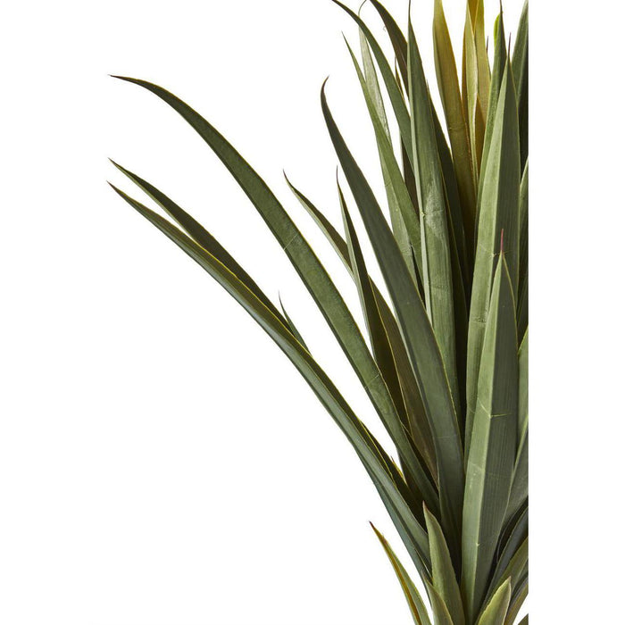 Deco plante 57609 - Olla Vert - Lot de 1